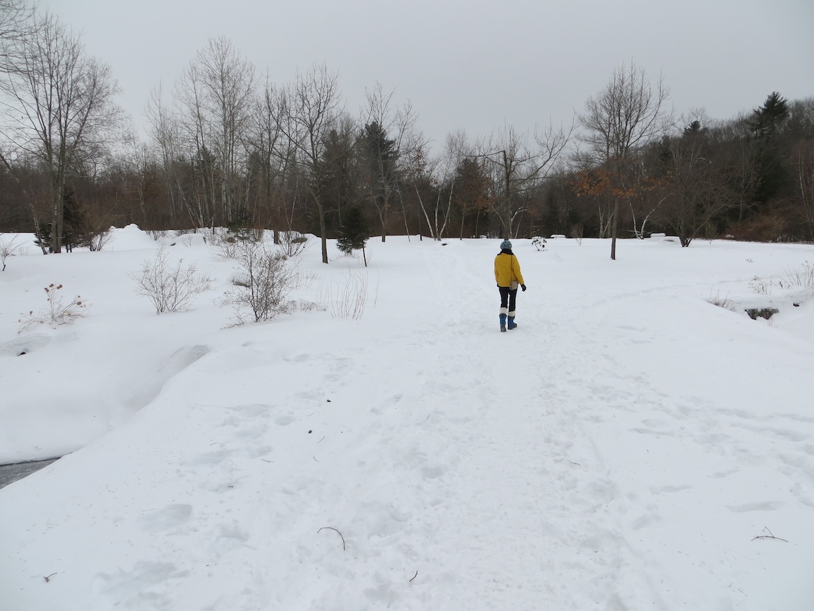Bensons Feb 18 015