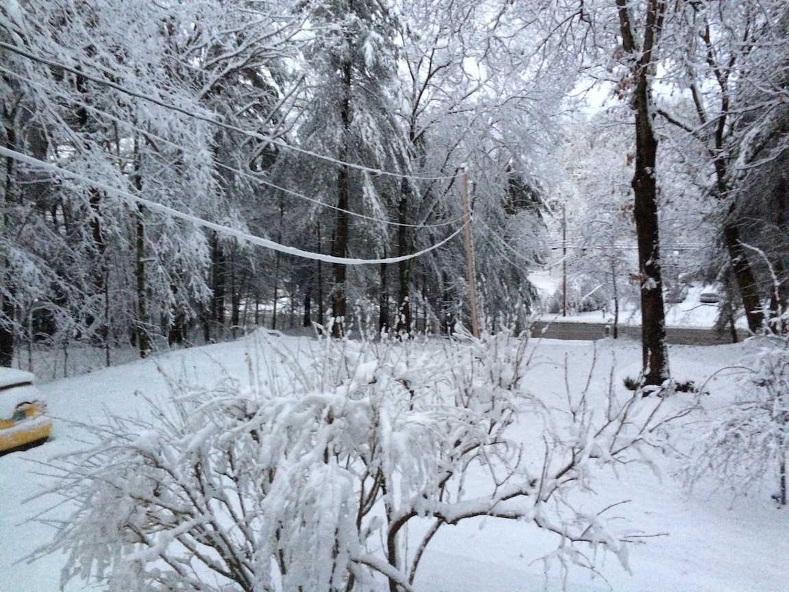 IMG_2312 edge gallery