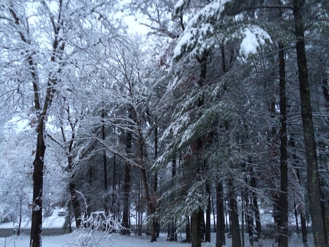 IMG_2313 edge gallery