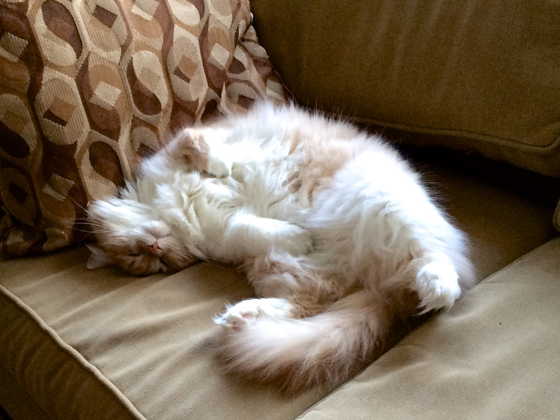 IMG_2656 edge gallery