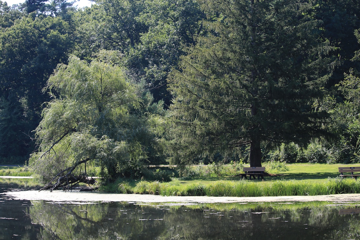 IMG_4635 edge gallery