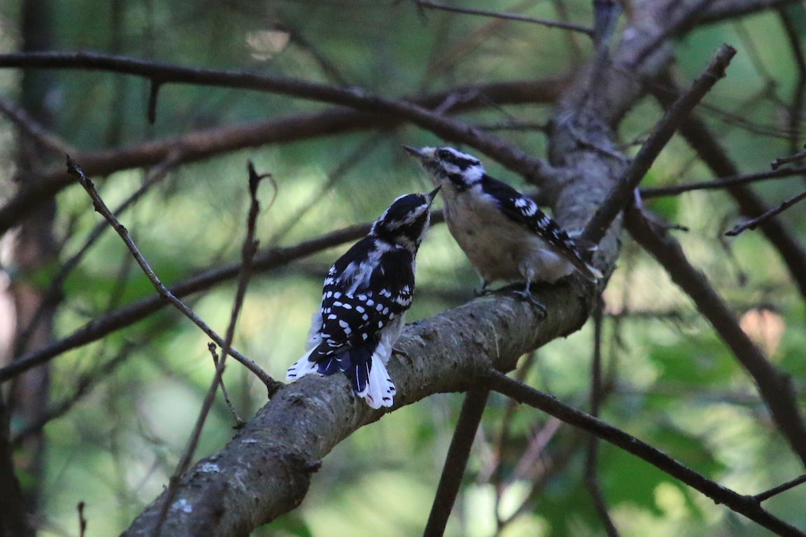 IMG_4655 edge gallery