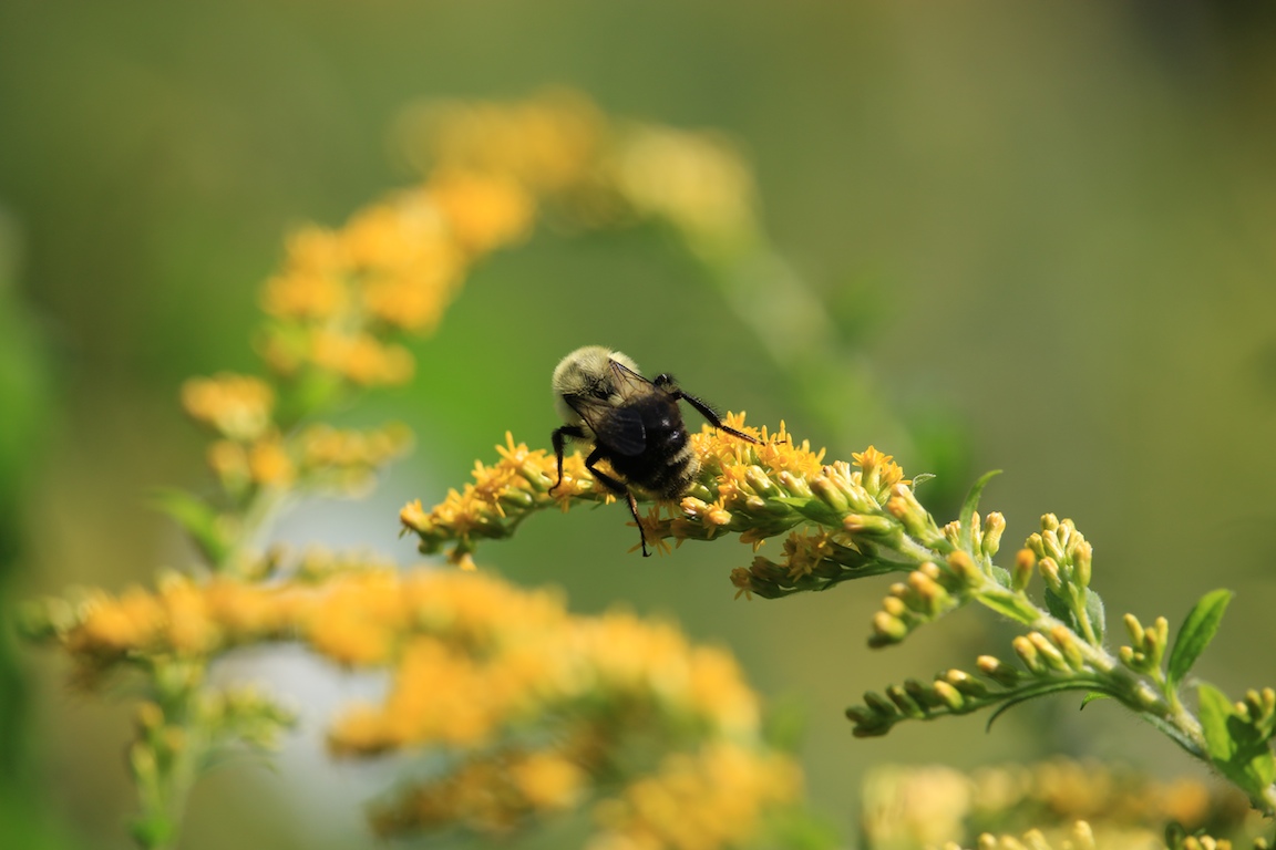 IMG_4667 edge gallery