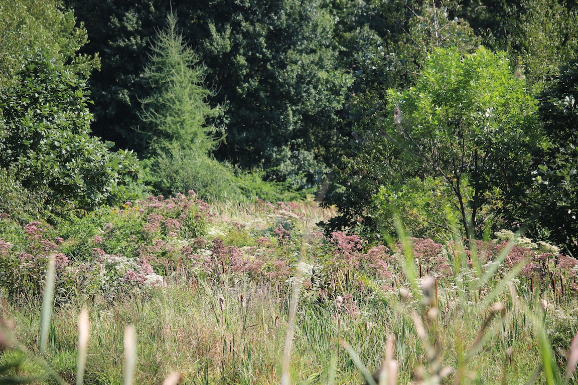 IMG_4684 edge gallery