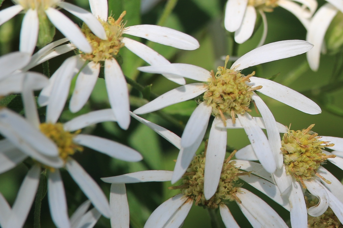 IMG_4702 edge gallery