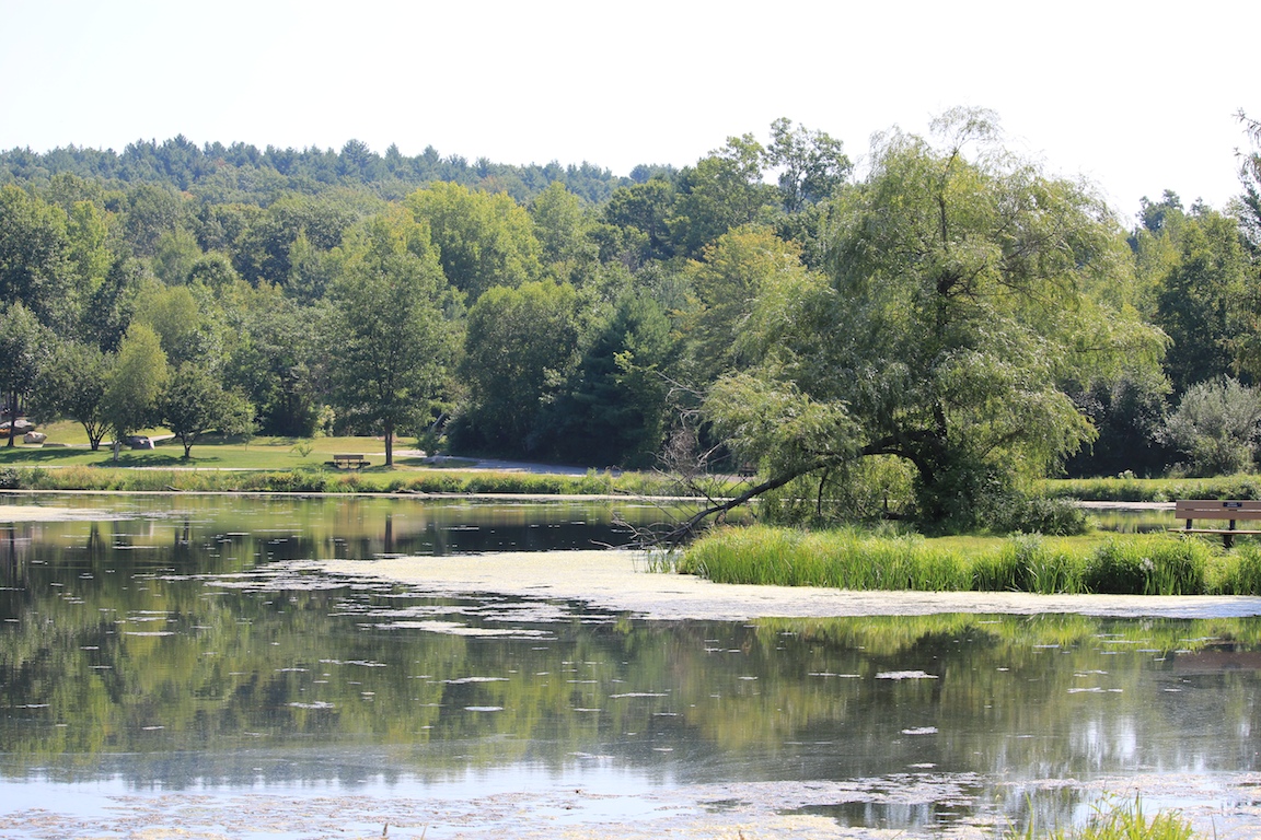 IMG_4712 edge gallery