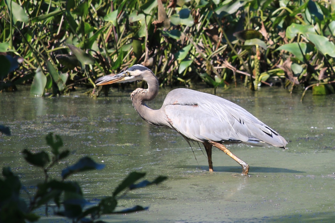 IMG_4714 edge gallery