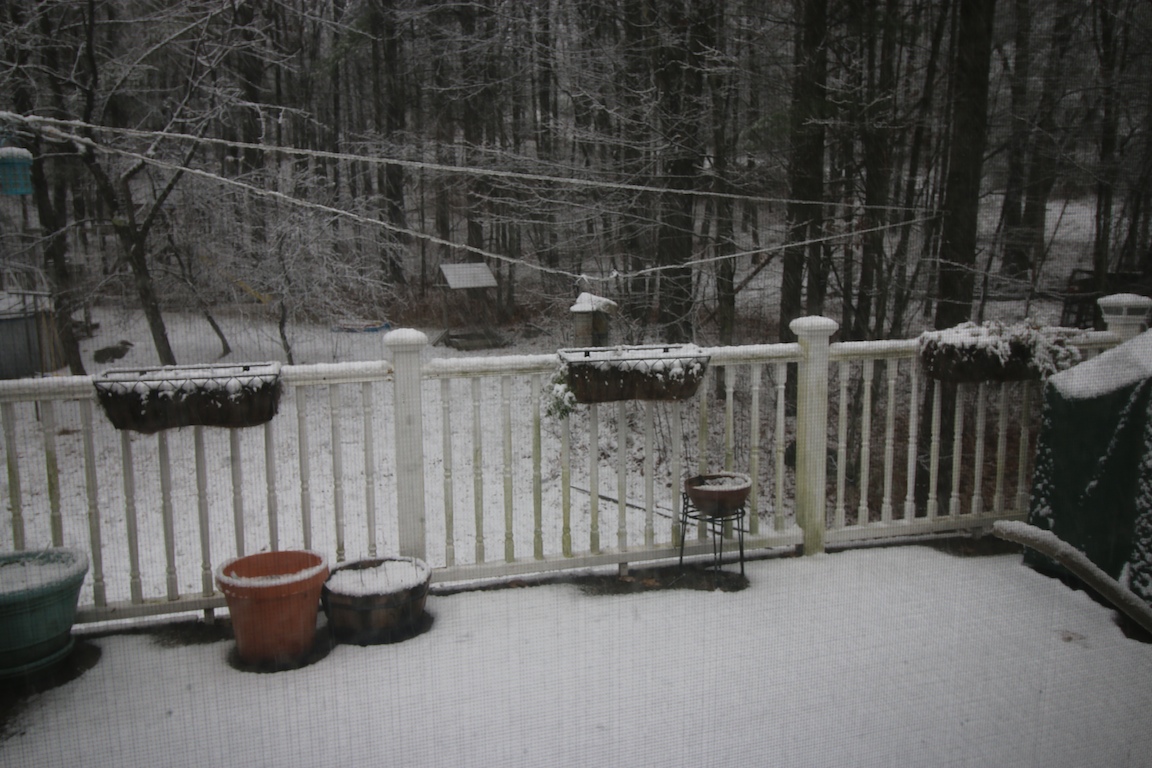 IMG_6016 edge gallery