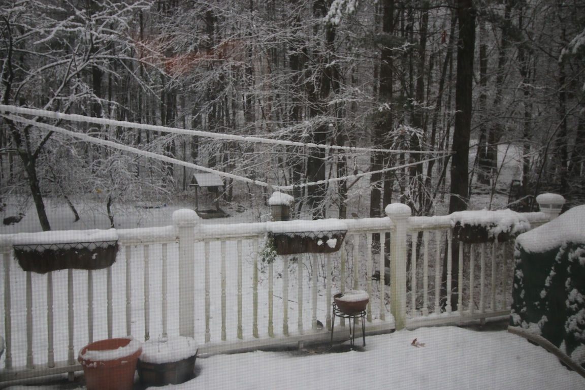 IMG_6020 edge gallery