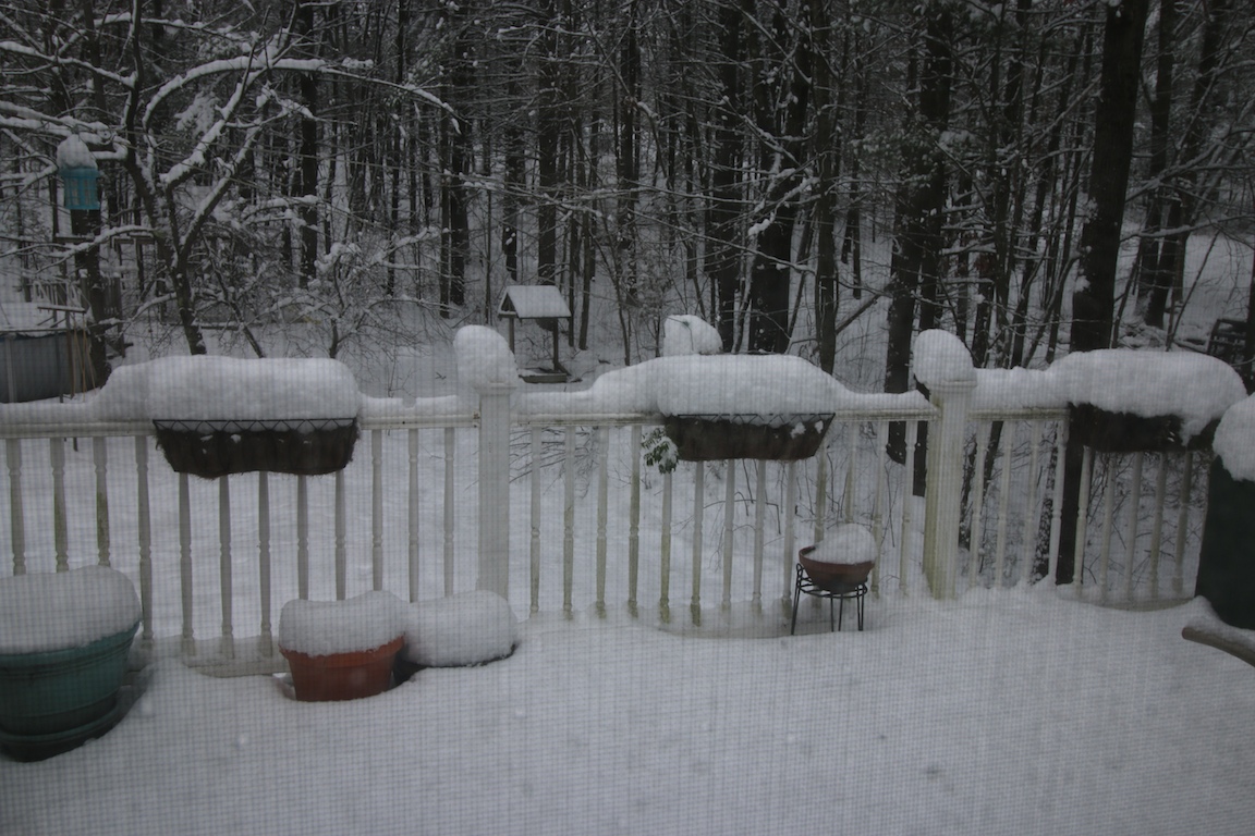 IMG_6024 edge gallery