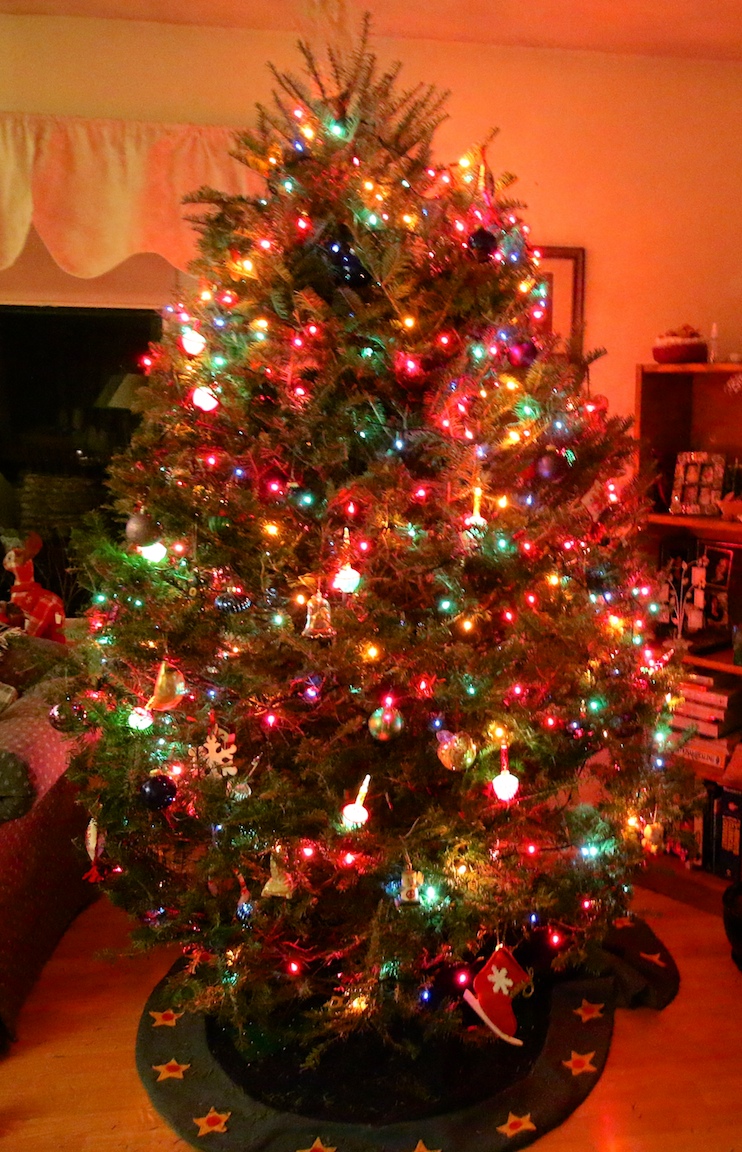 IMG_6103 edge gallery