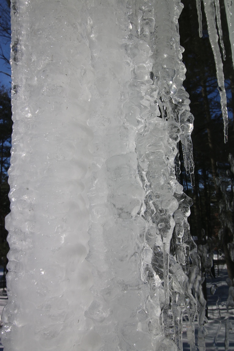 IMG_6643 edge gallery