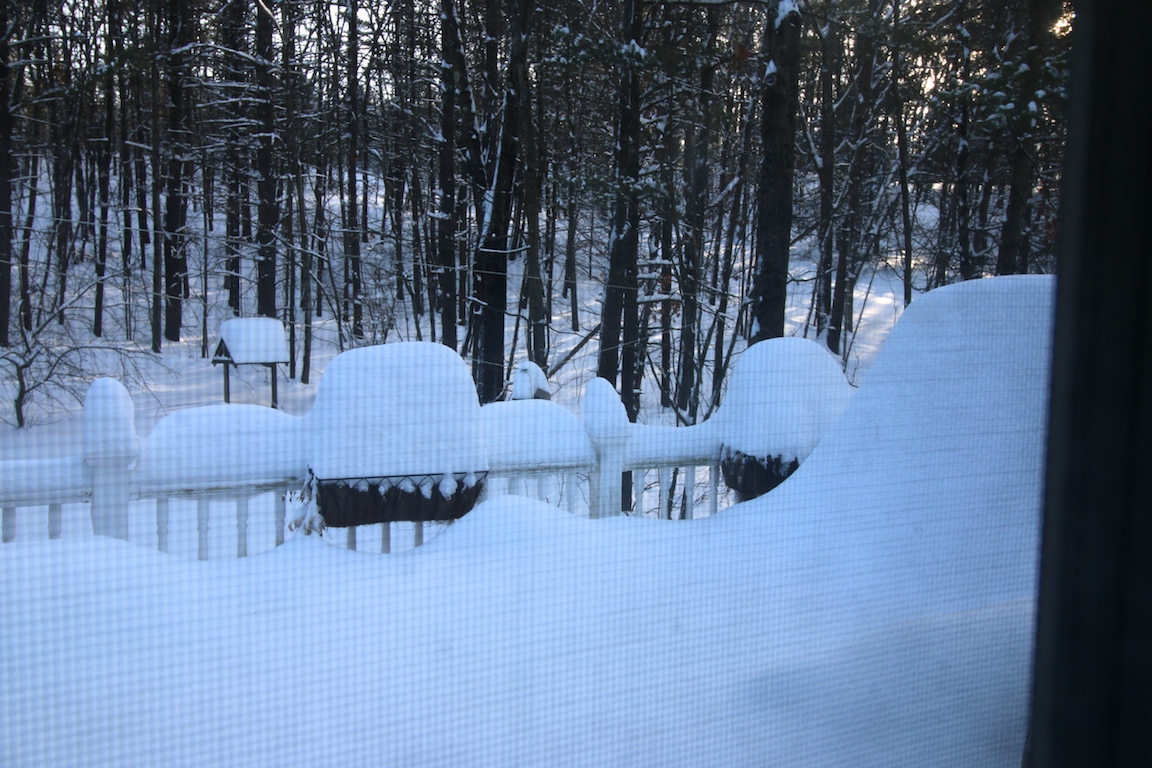 IMG_6660 edge gallery