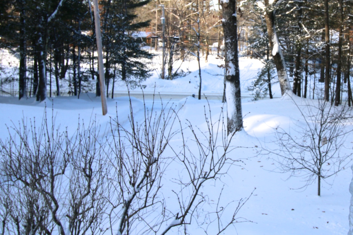 IMG_6670 edge gallery