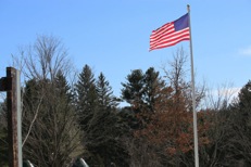 IMG_695--
