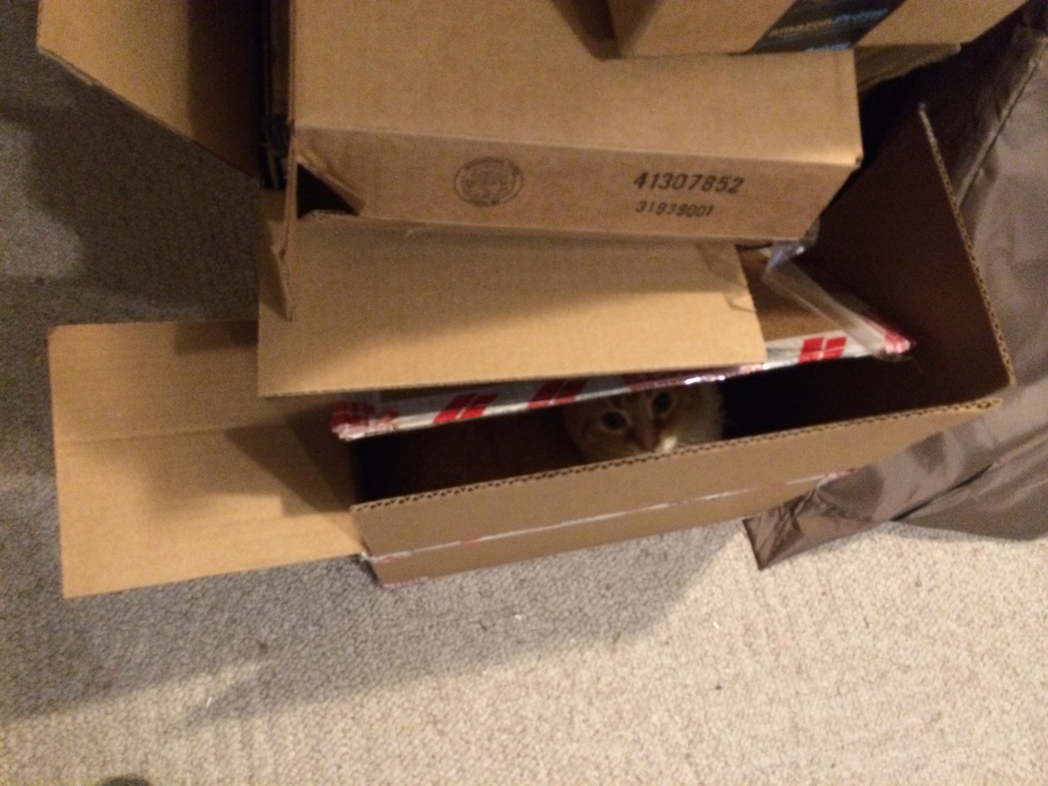 Maddy in the Box 027