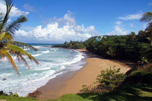 Rincon+Puerto+Rico+_16_