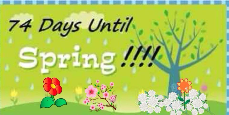 spring