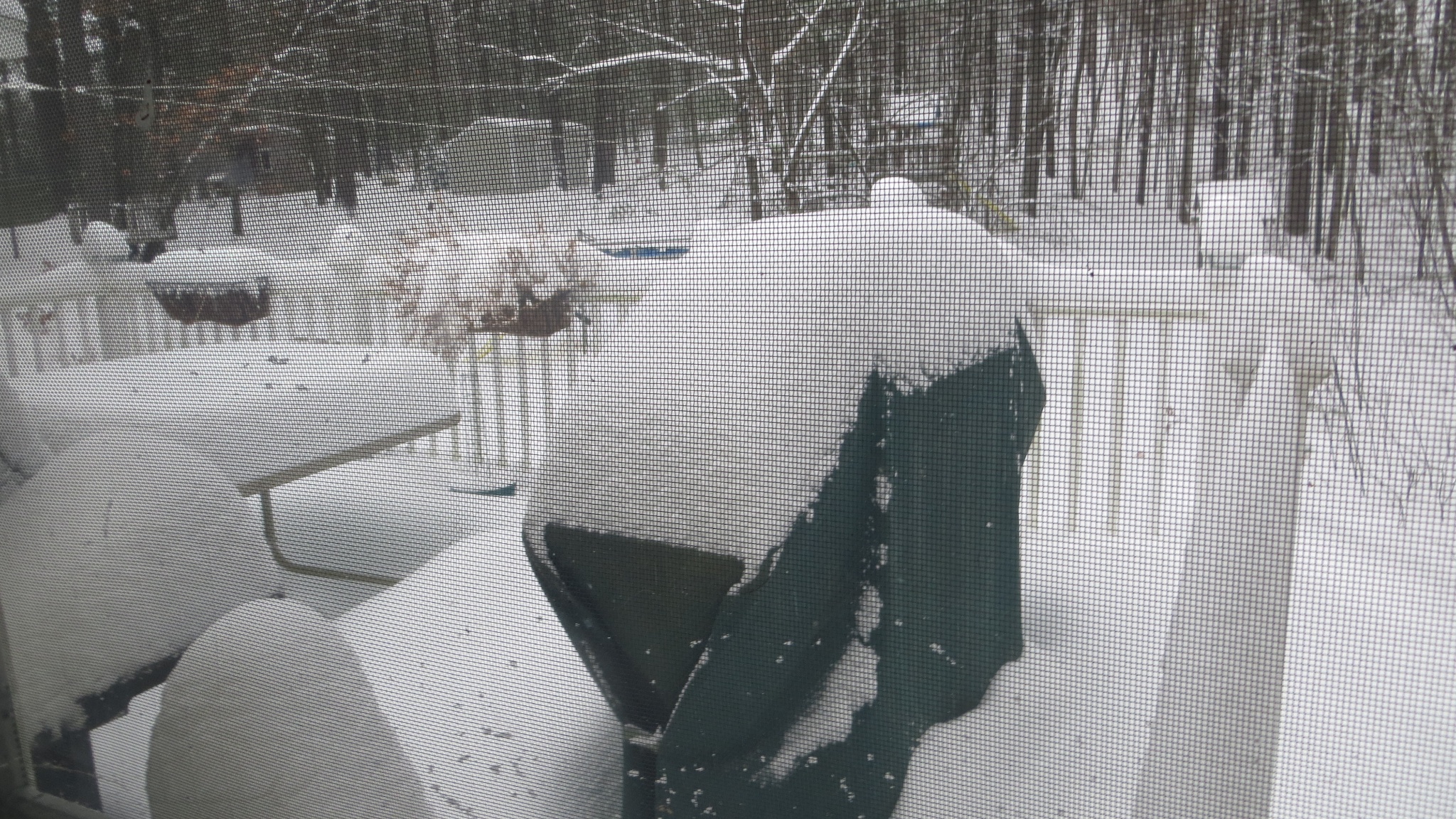 Winter 001