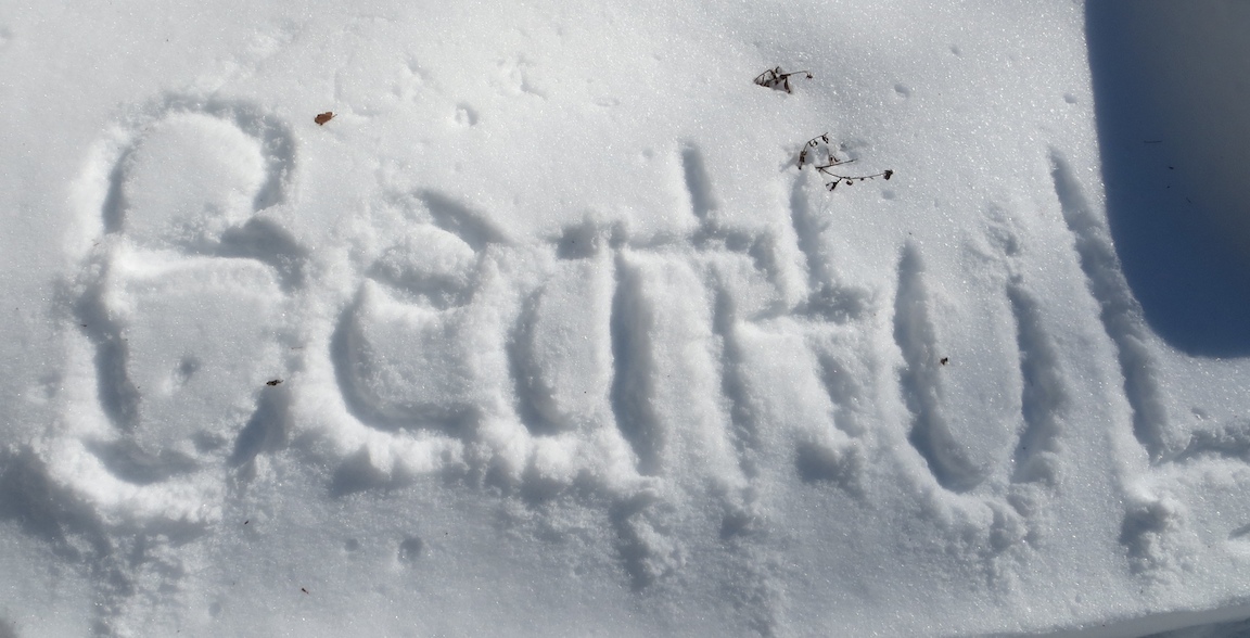 Winter 010 (1)