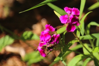 Image9