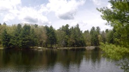 Nashua River Trail 5-17-16 photo 4 