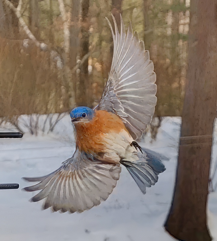 BlueBird