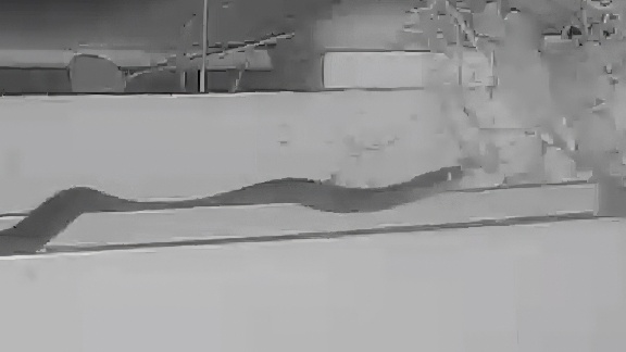 Clip-8-27-25