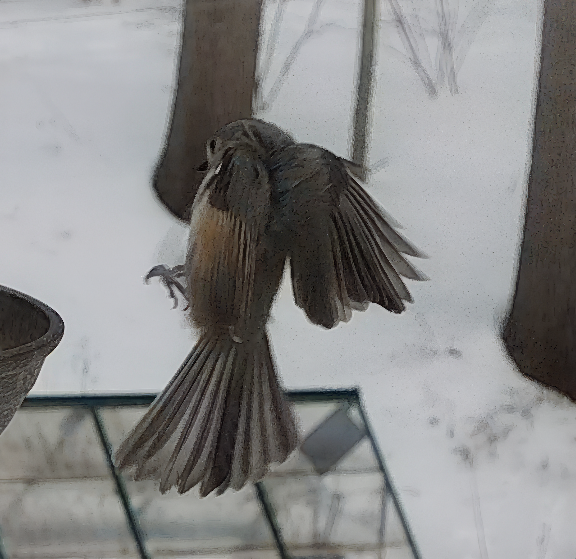 Screen Shot 2026-02-07 at 9.34.05 PM