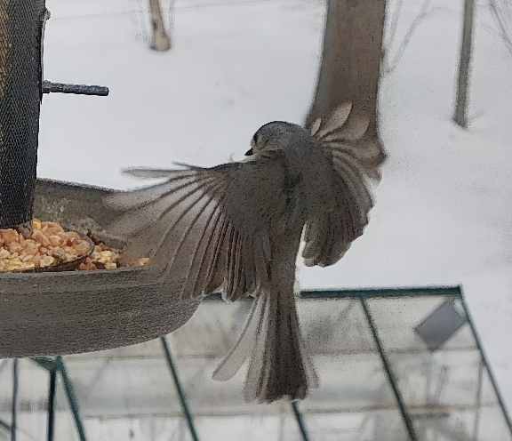 Screen Shot 2026-02-07 at 9.34.32 PM