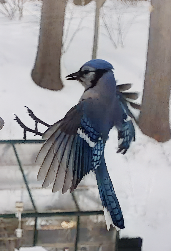 Screen Shot 2026-02-08 at 9.21.11 PM