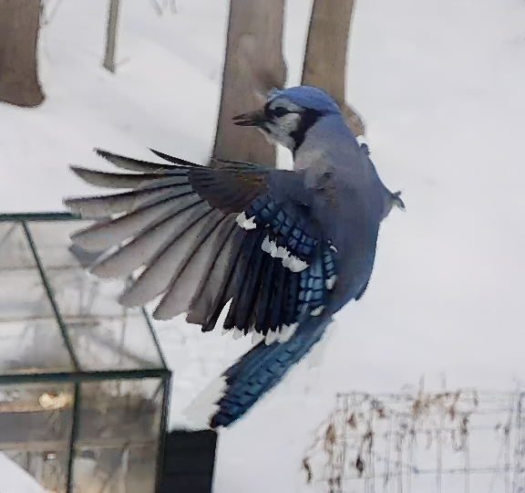 Screen Shot 2026-02-08 at 9.21.30 PM