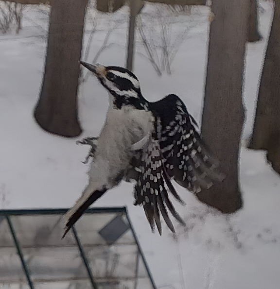 Screen Shot 2026-02-08 at 9.24.25 PM