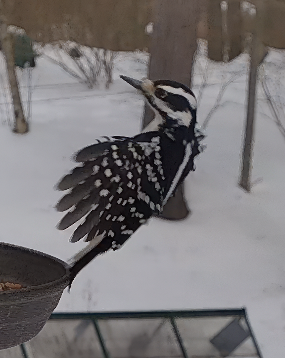 Screen Shot 2026-02-08 at 9.24.36 PM