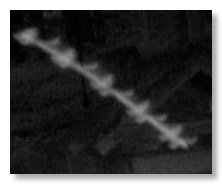 Screen Shot 2021-07-10 at 11.49.55 AM