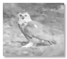 Screen Shot 2021-07-16 at 1.42.21 PM
