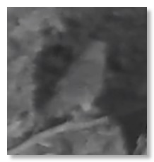 Screen Shot 2021-09-15 at 10.04.33 AM
