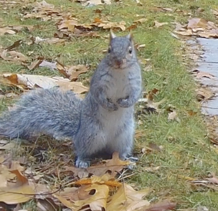 Screen Shot 2023-01-11 at 4.37.05 PM