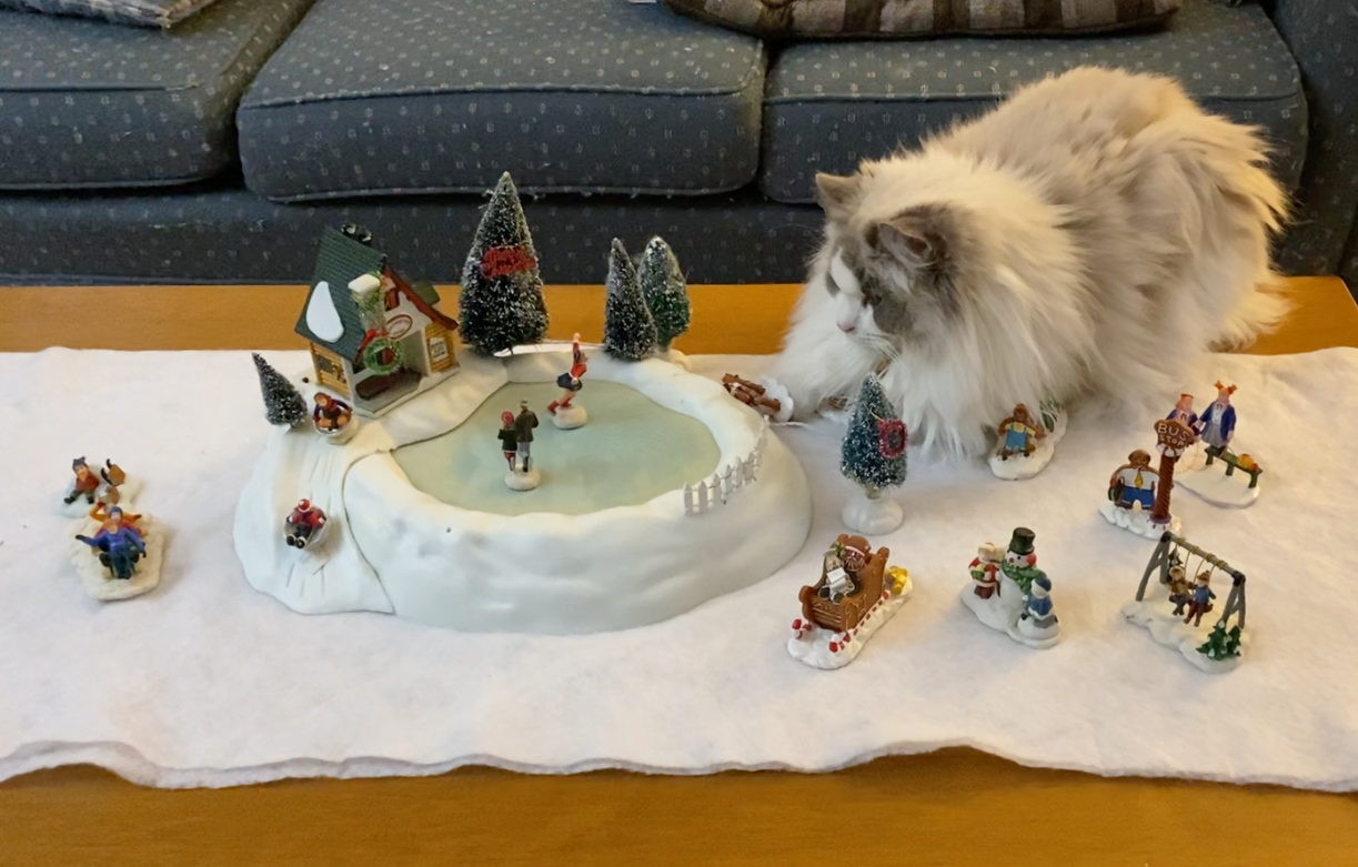 Screen Shot 2023-01-12 at 11.51.13 AM